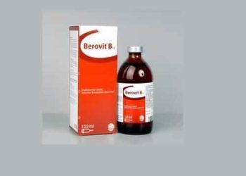 Berovit B12