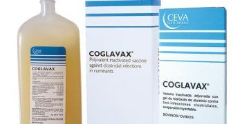 Coglavax