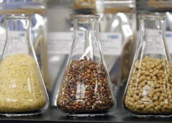 Yemlerin Kimyasal Analizi Nedir?