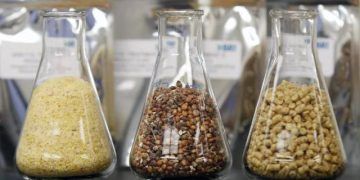 Yemlerin Kimyasal Analizi Nedir?