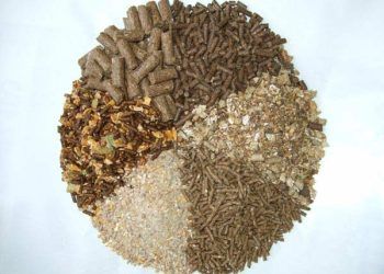 Yemlerin Metabolize Olma Derecesi Nedir?