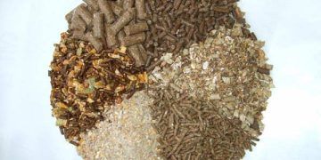 Yemlerin Metabolize Olma Derecesi Nedir?