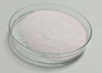 Yemlik Biüre Nedir?