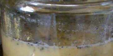 Yemlik Fermentler Nedir?