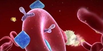 Yenidoğanların Alloimmün Hemolitik Anemisi Nedir?