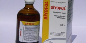 Biyoful