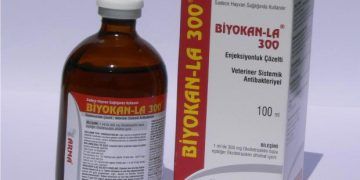 Biyokan-LA 300