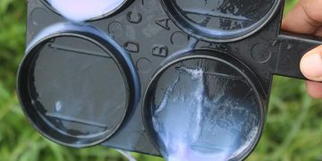 California Mastitis Test Mastitisleri Saptamada Güvenli Midir?