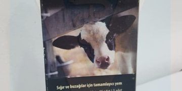 Cevastim