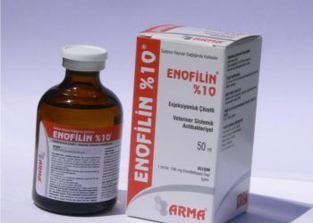 Enofilin %10