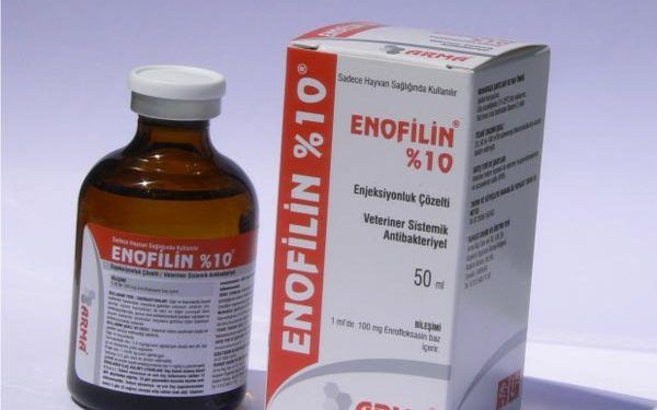 Enofilin %10