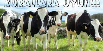 Kurallara Uymalıyız