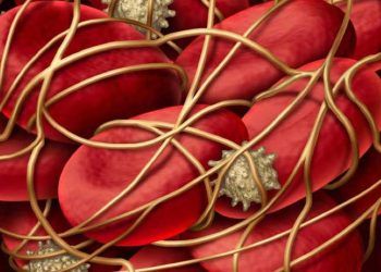 Mastitisin follikül, oosit ve CL fonksiyonları üzerine etkisi