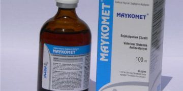 Maykomet
