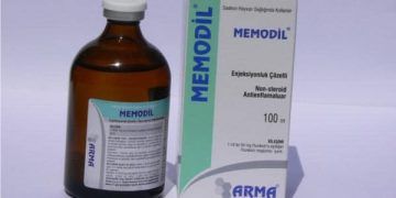 Memodil