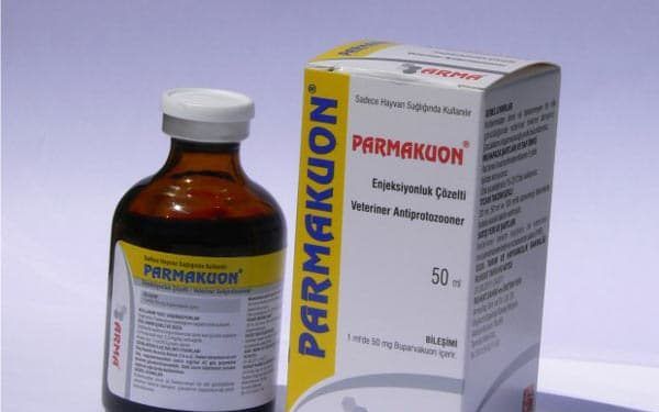 Parmakuon