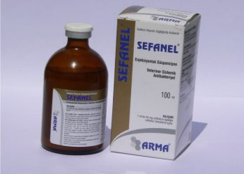 Sefanel