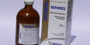Sefanel