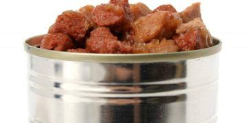 Yemleme Araştırması Nedir?