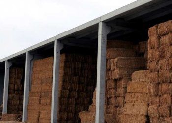 Yemlerde Mikrobiyal Kayıplar Nedir?