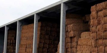 Yemlerde Mikrobiyal Kayıplar Nedir?