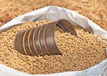 Yemlerdeki Toplam Fosfor Tayini Nedir?