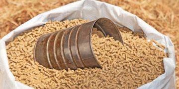 Yemlerdeki Toplam Fosfor Tayini Nedir?