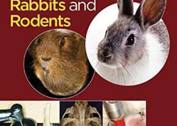 Tavşan ve Kemirgenlerde Diş Hekimliği