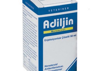 Adiljin