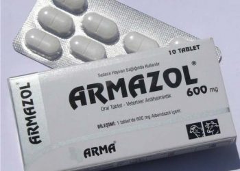 Armazol 600