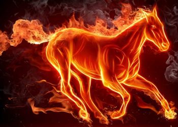 Atların Günlük Enerji İhtiyacı Nedir?