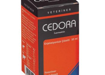 Cedora