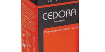 Cedora