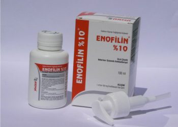 Enofilin %10 Oral Çözelti
