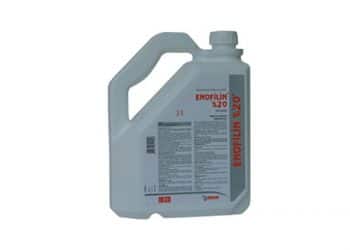 Enofilin %20 Oral