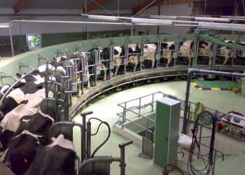 Hayvancılık Organize Sanayi Bölgeleri