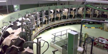 Hayvancılık Organize Sanayi Bölgeleri