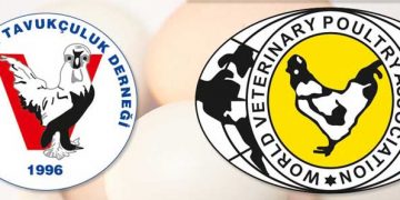 Kanatlı Sektörünün Güncel Sorunları Sempozyumu