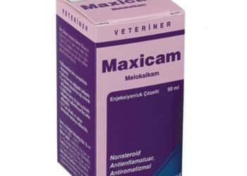 Maxicam