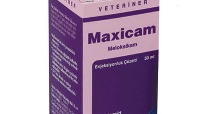 Maxicam