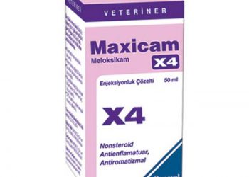 Maxicam X4