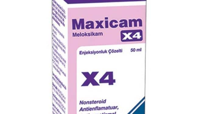 Maxicam X4