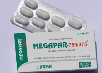 Megapar 750 / 375