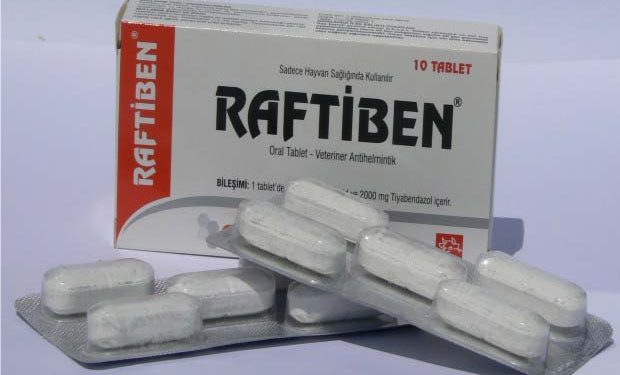 Raftiben