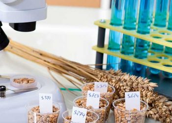 Yem Kontrolü Nedir?