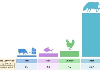 Yemden Yararlanma Oranı Nedir?