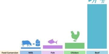 Yemden Yararlanma Oranı Nedir?