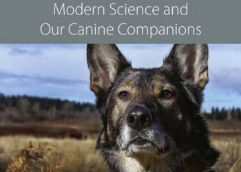 Köpek Davranışları: Modern Bilim ve Köpek Arkadaşlarımız