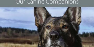 Köpek Davranışları: Modern Bilim ve Köpek Arkadaşlarımız