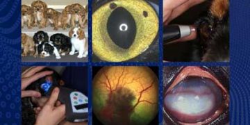 Veteriner Hekimlikte Oftalmik Hastalıklar, 2. Baskı